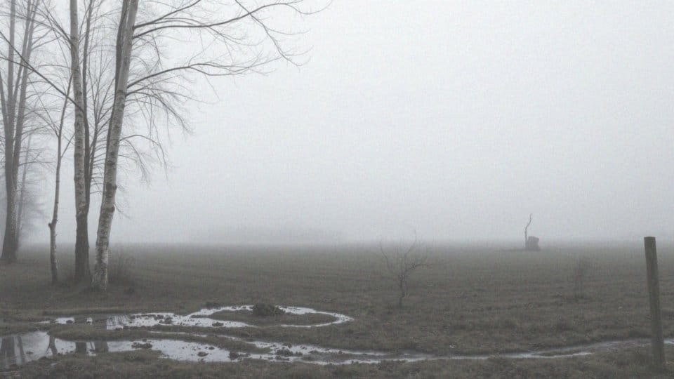 Co wydarzyło się w katastrofie smoleńskiej, w której zginął Lech Kaczyński?