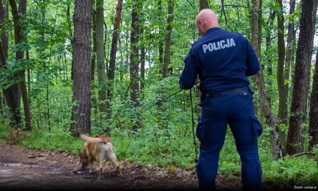 Kolejni kierowcy złapani na przekroczeniu prędkości w Warszawie