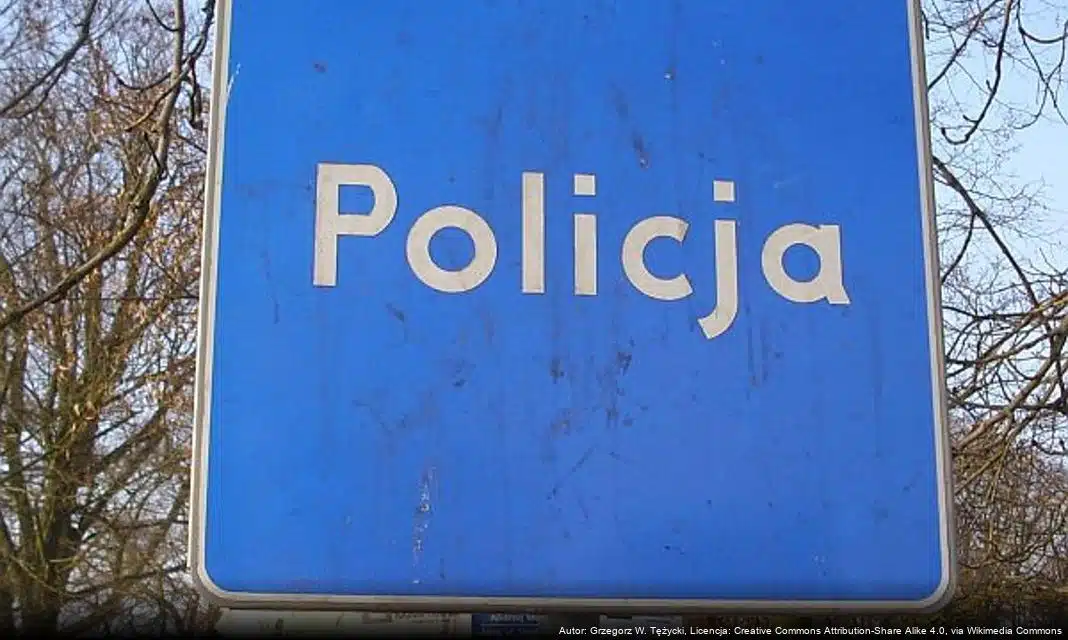 Zatrzymanie mężczyzny grożącego przedmiotem przypominającym broń w Gorzowie Wielkopolskim