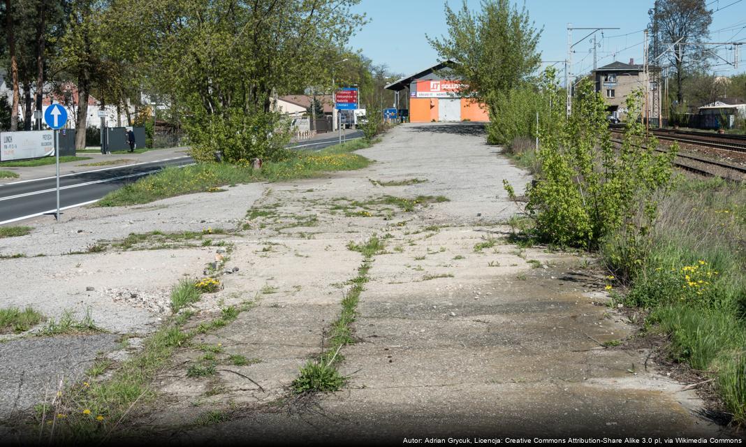 Dostosowanie prac porządkowych do warunków atmosferycznych w Warszawie