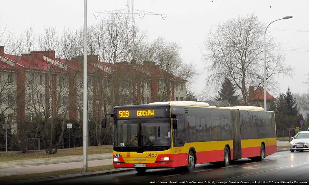 Rozpoczął się plebiscyt na Warszawskie Drzewo Roku 2026